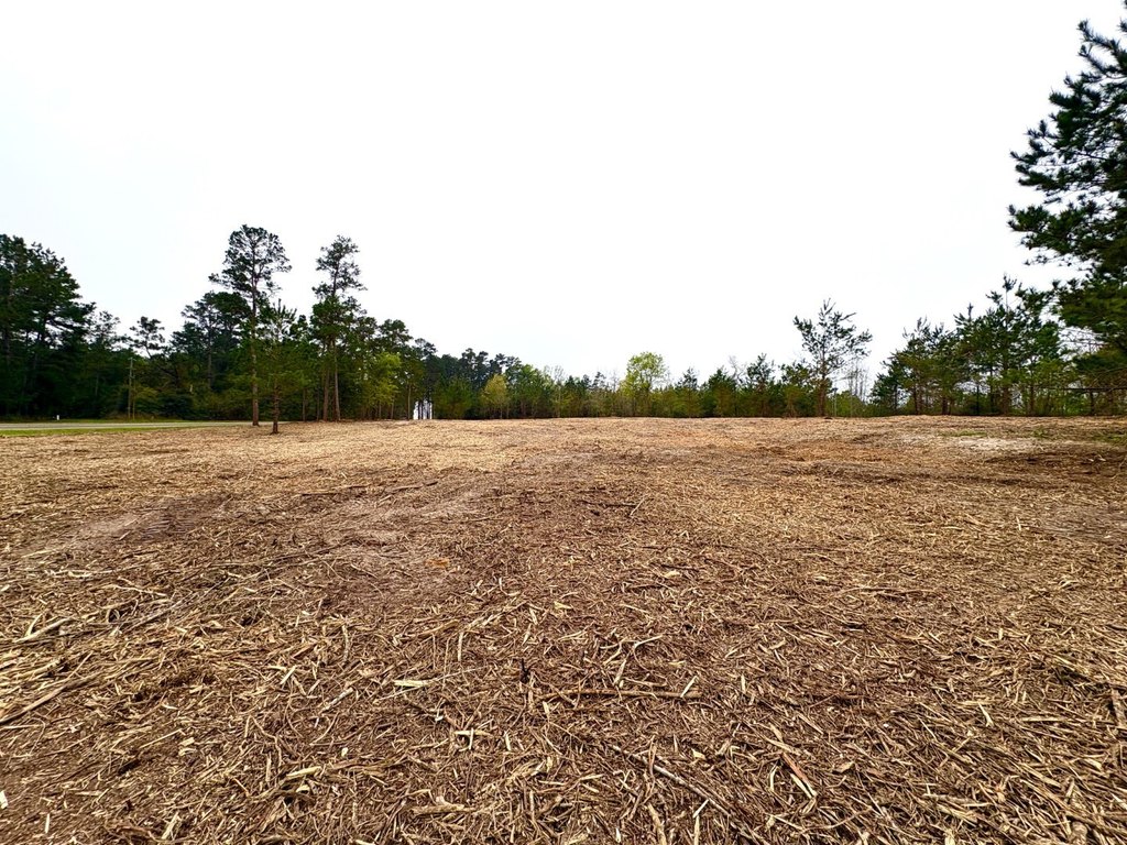 Picture 3