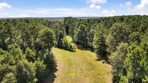 Wooded Pasture Land Tract