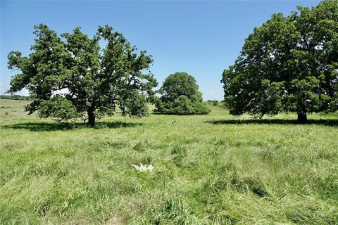 Texas Ranch Land with Highway Frontage