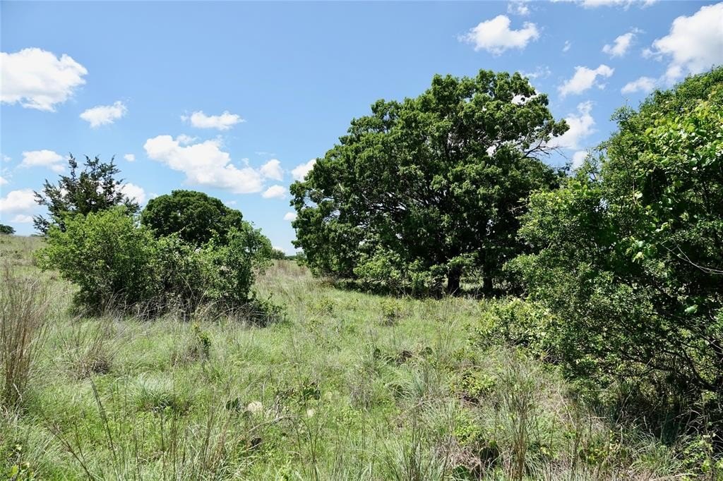 Picture 24