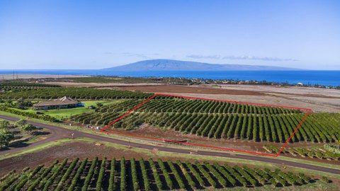 Agricultural Land in Gated Community