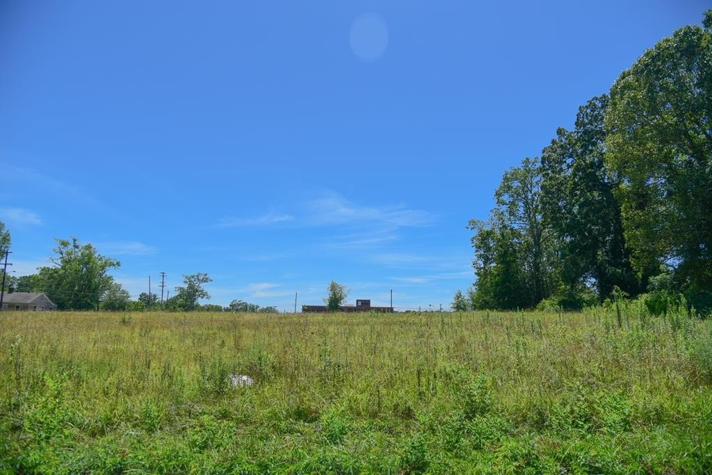 Greenwood Commercial Land For Sale