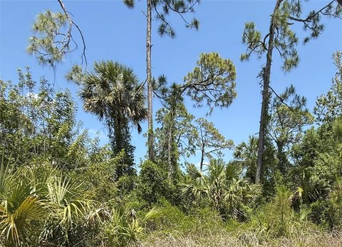 Land, NORTH PORT, FL