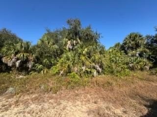 Land, NORTH PORT, FL