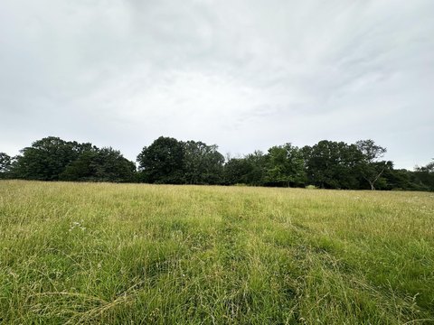 46 Acres Pasture Land For Sale