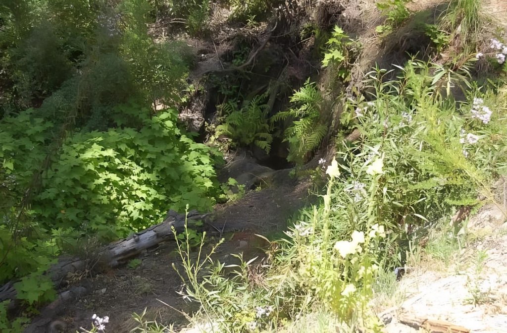 Picture 9