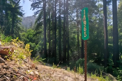 Land in Boulder Creek