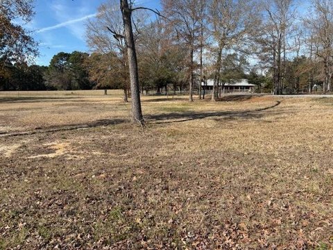 Toledo Bend Lake Vacant Land