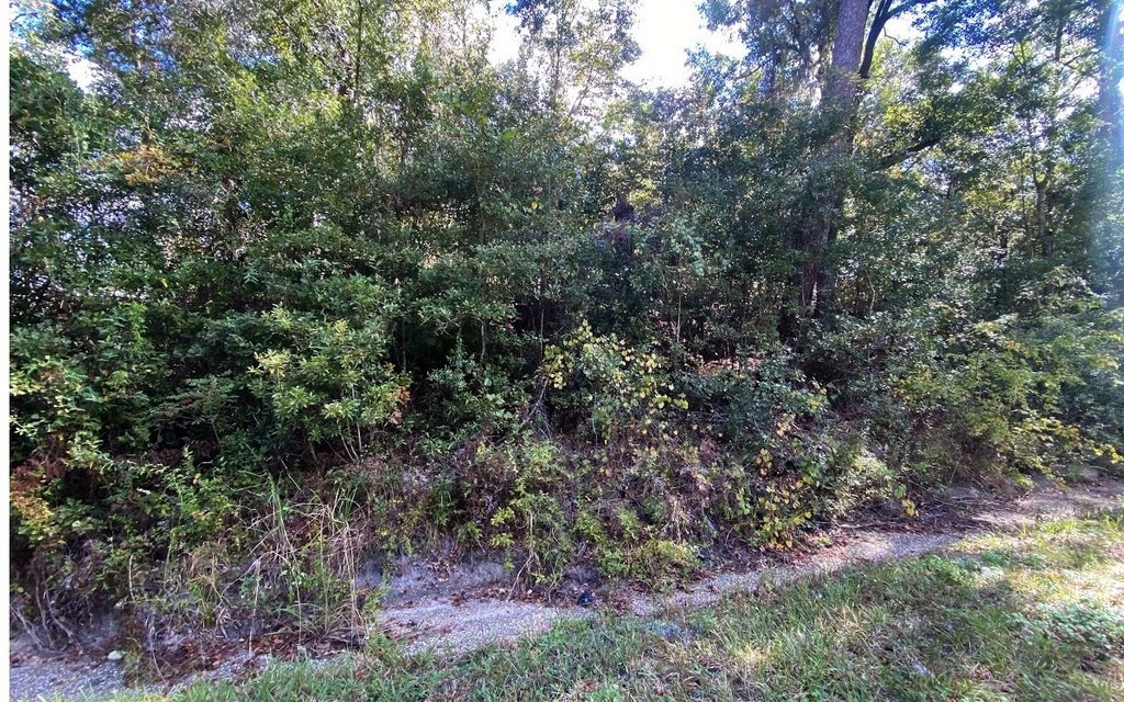 Picture 4