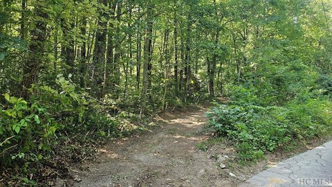 Scaly Mountain Wooded Building Site
