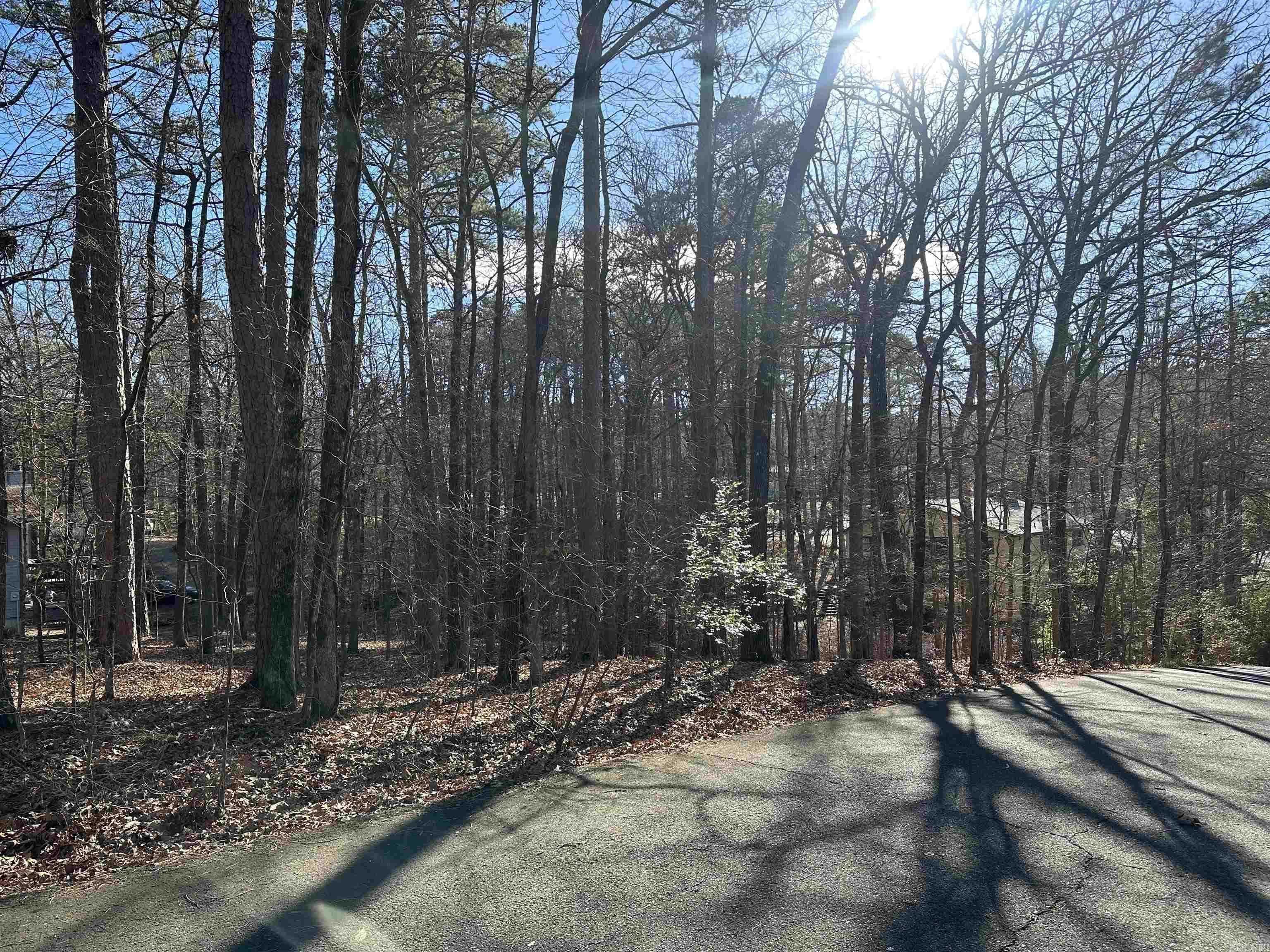 Hot Springs Village Vacant Land