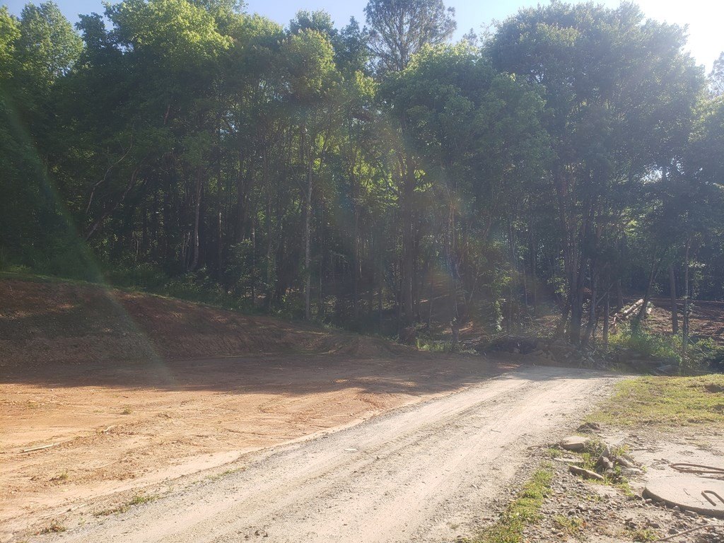 Picture 2