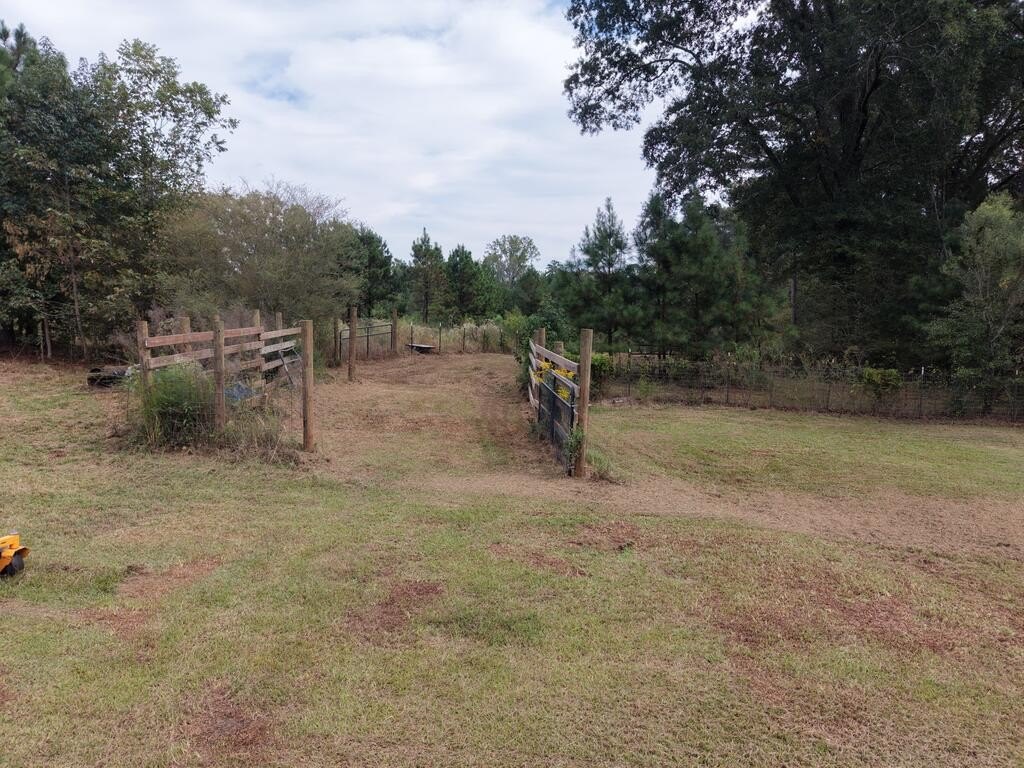 Picture 5