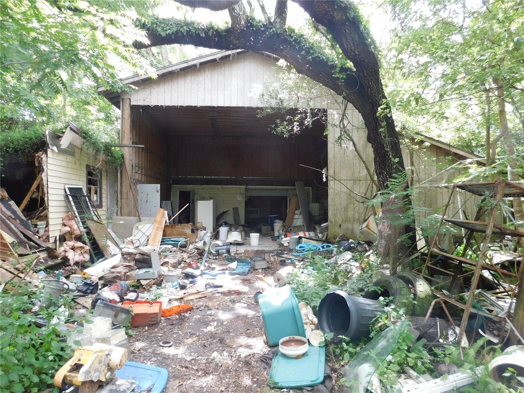 Picture 8