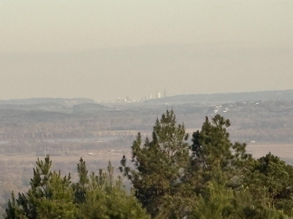 Picture 42