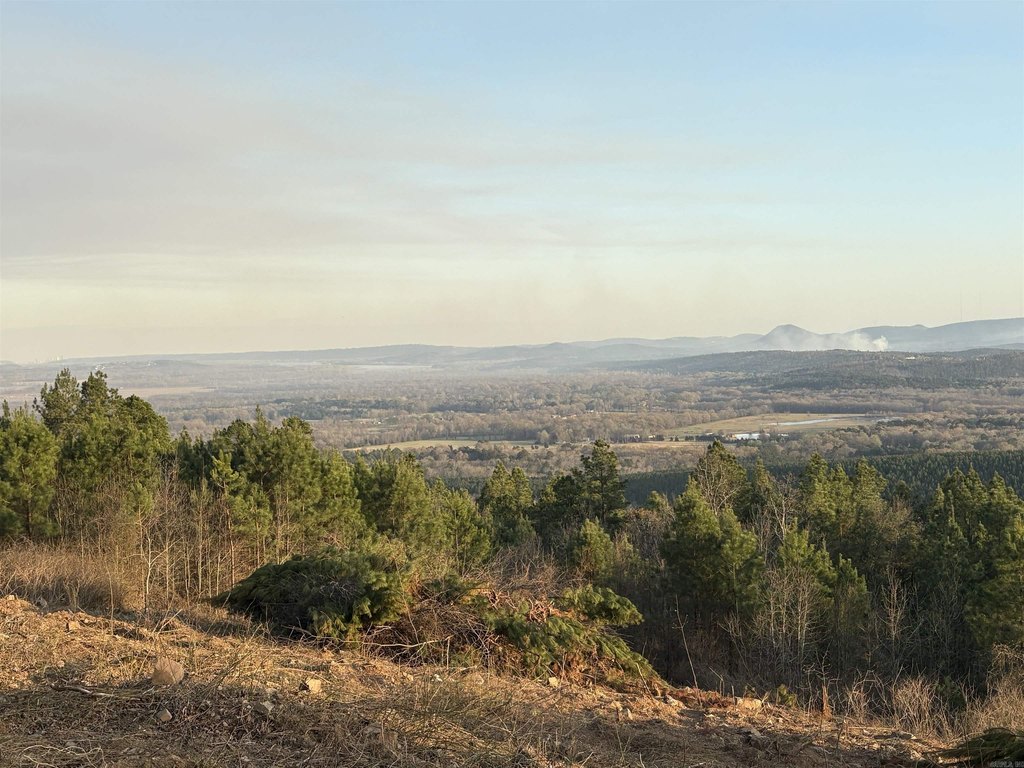Picture 41