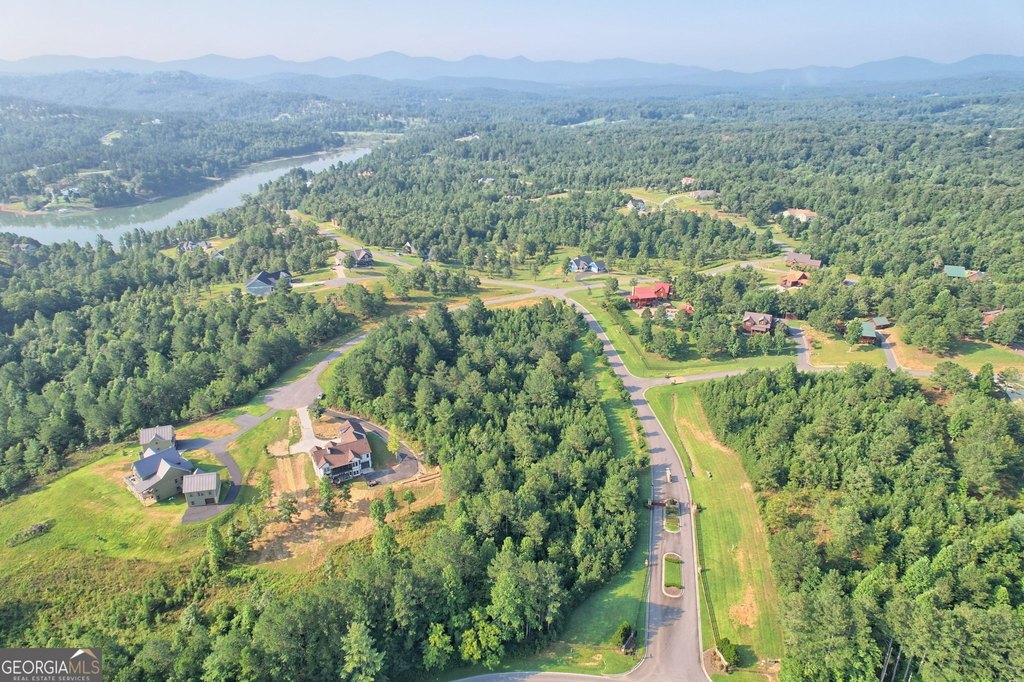 Picture 24