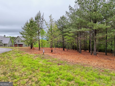 Blairsville Land with Lake Access
