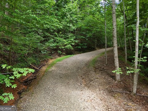 Land, Blairsville, GA