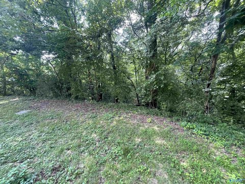LAND - Florence, AL