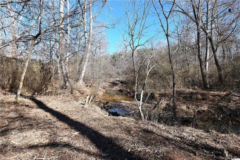 Tallapoosa Land with Creek Frontage