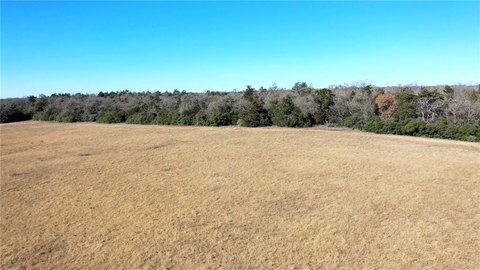 21 Acre Country Tract
