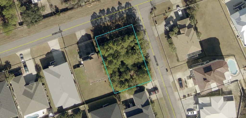 Picture 14