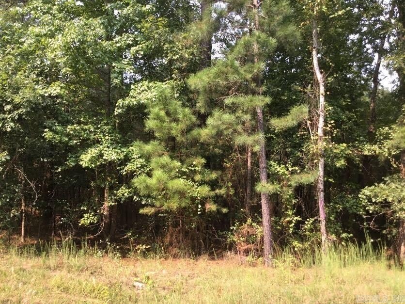 Picture 21