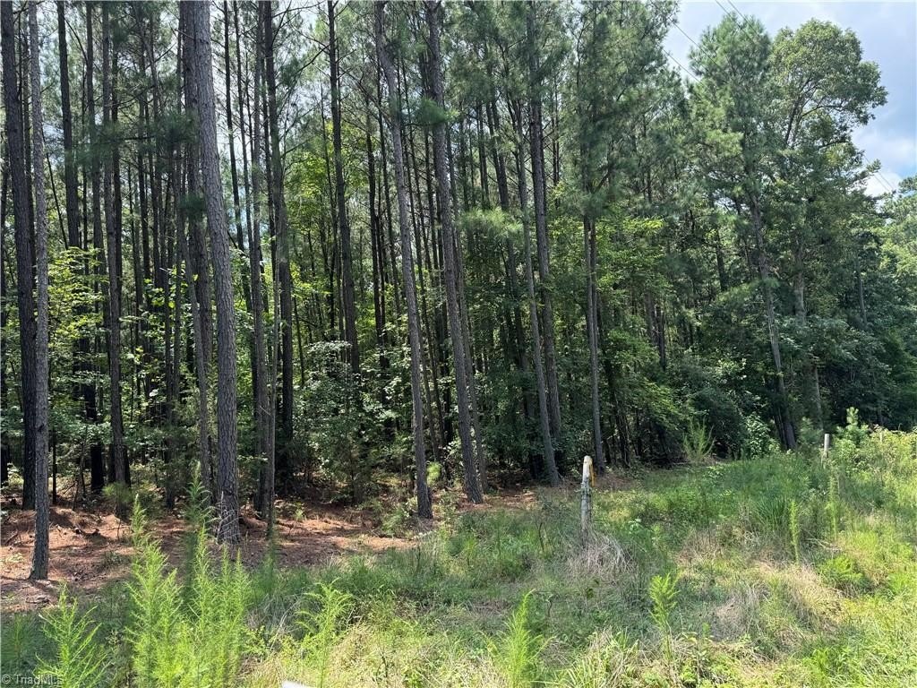 Wooded Lot in Siler City