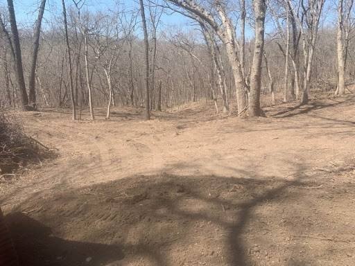 Affordable Timber Site Near St Joseph