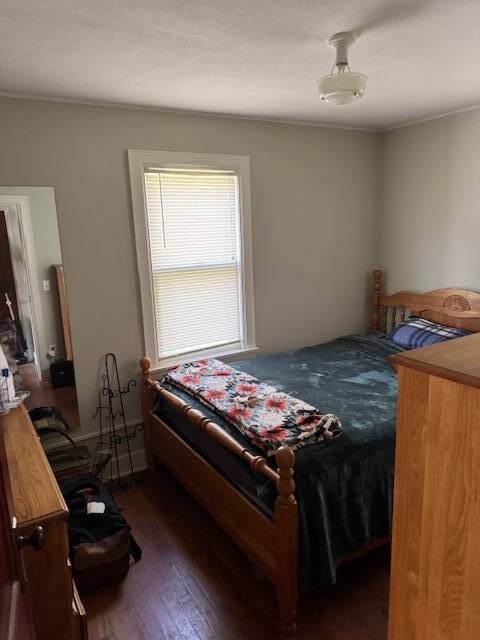 Picture 52
