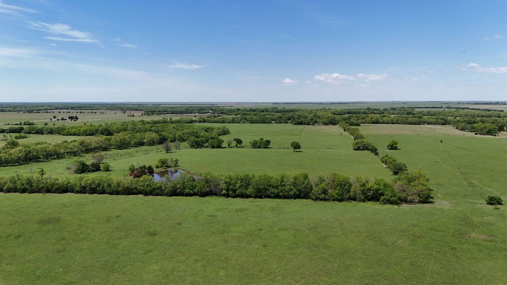 Picture 13