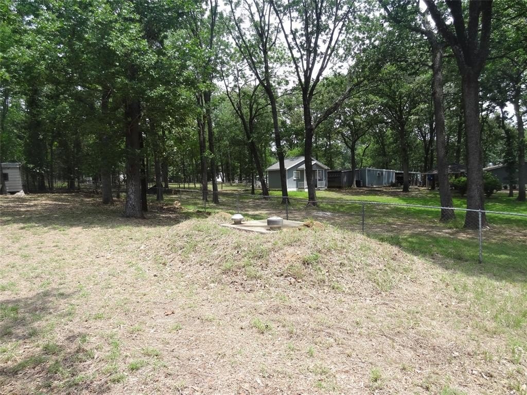 Picture 25