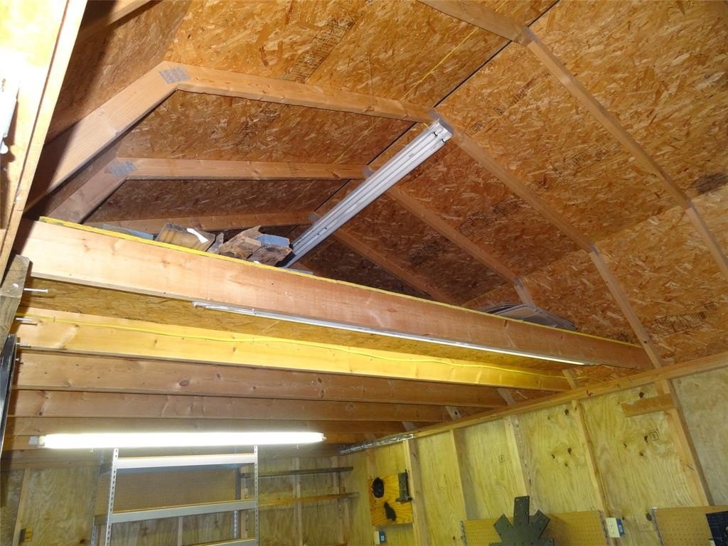 Picture 4
