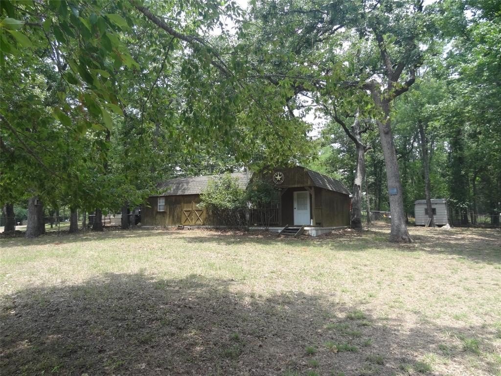 Picture 24