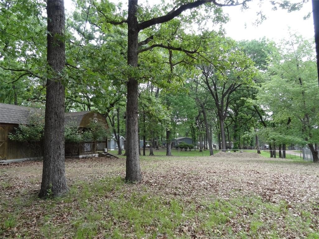 Picture 18