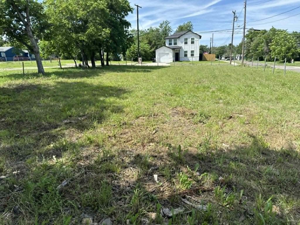 Picture 5