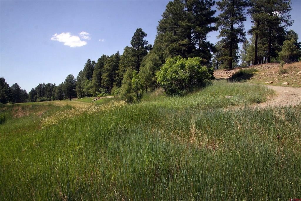 Picture 31