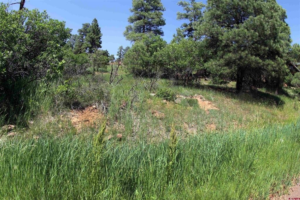 Picture 28