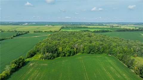 37 Acres of Farmland