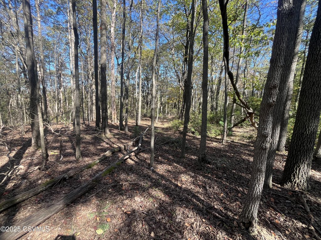 Picture 25