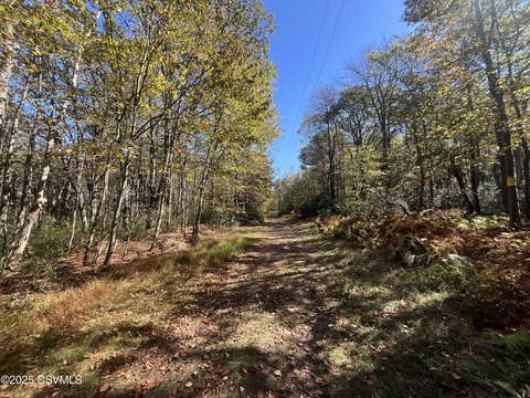 Hunting Land Tract