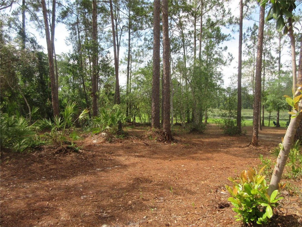 Picture 14