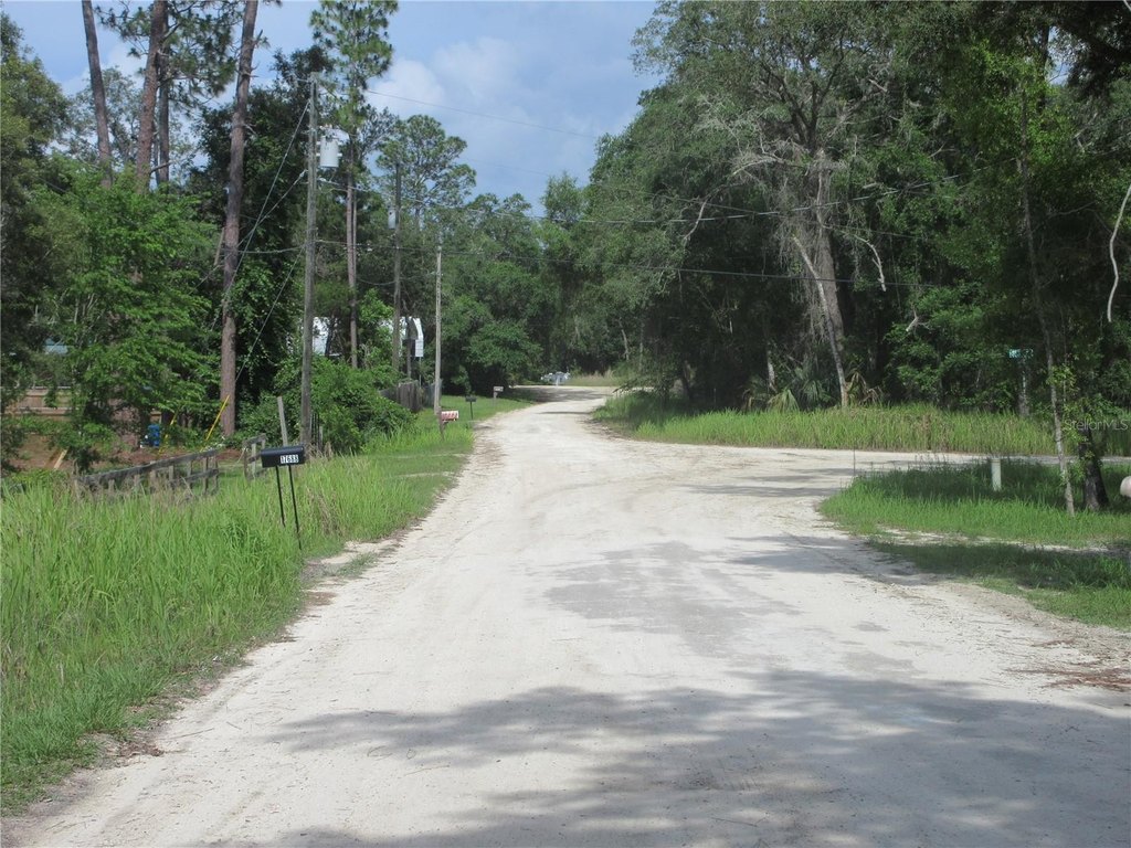 Picture 35