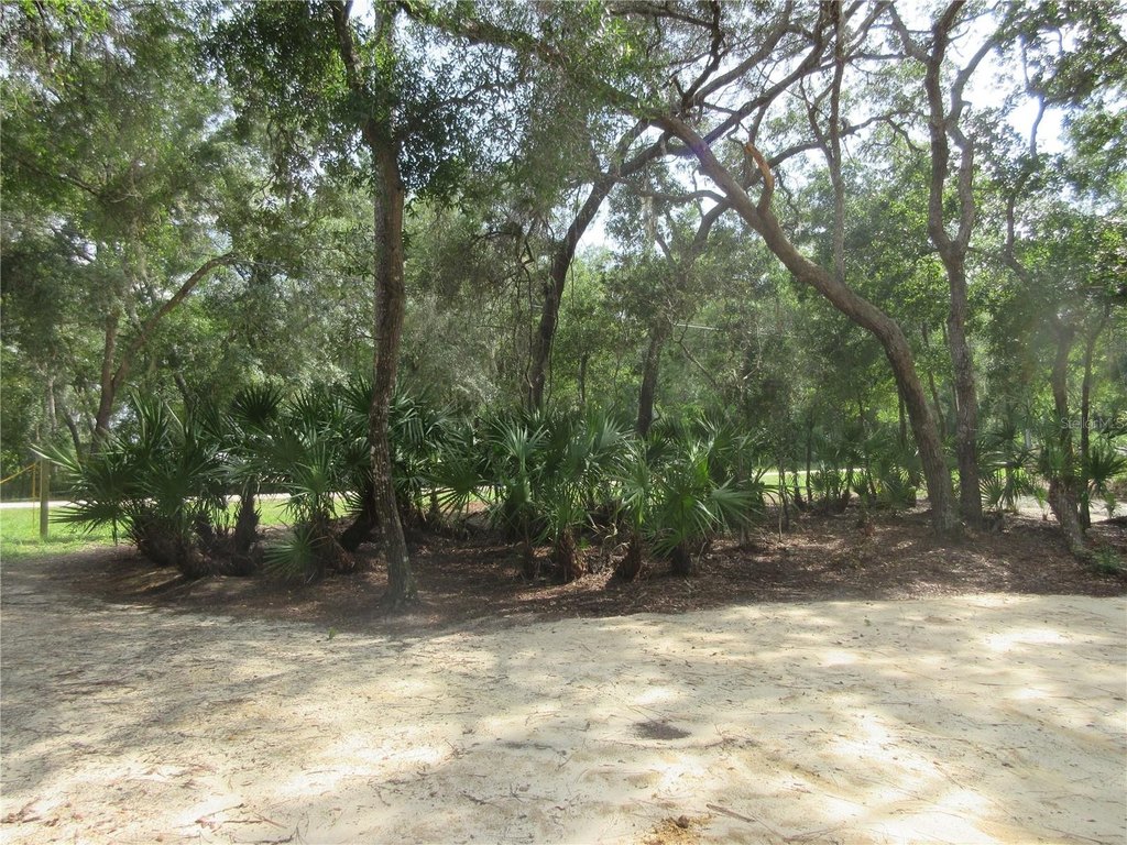 Picture 32