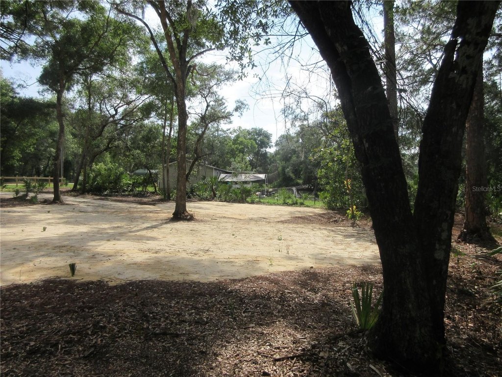 Picture 29