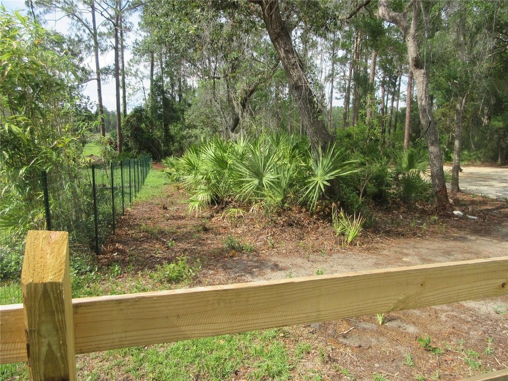 Picture 21