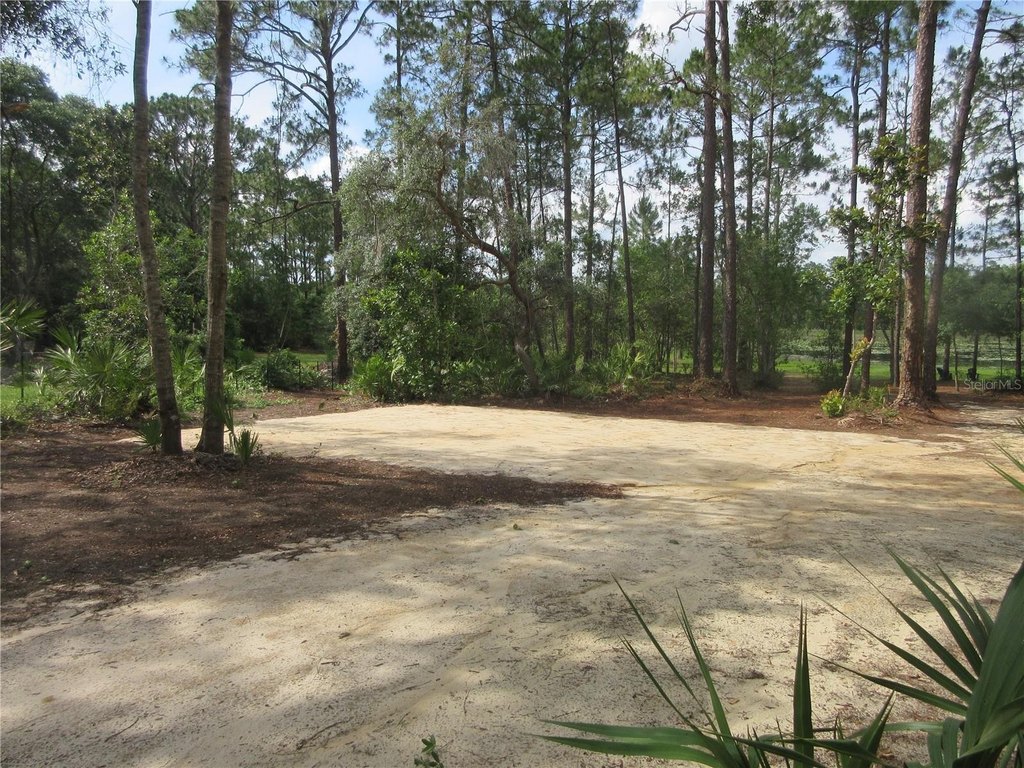 Picture 27