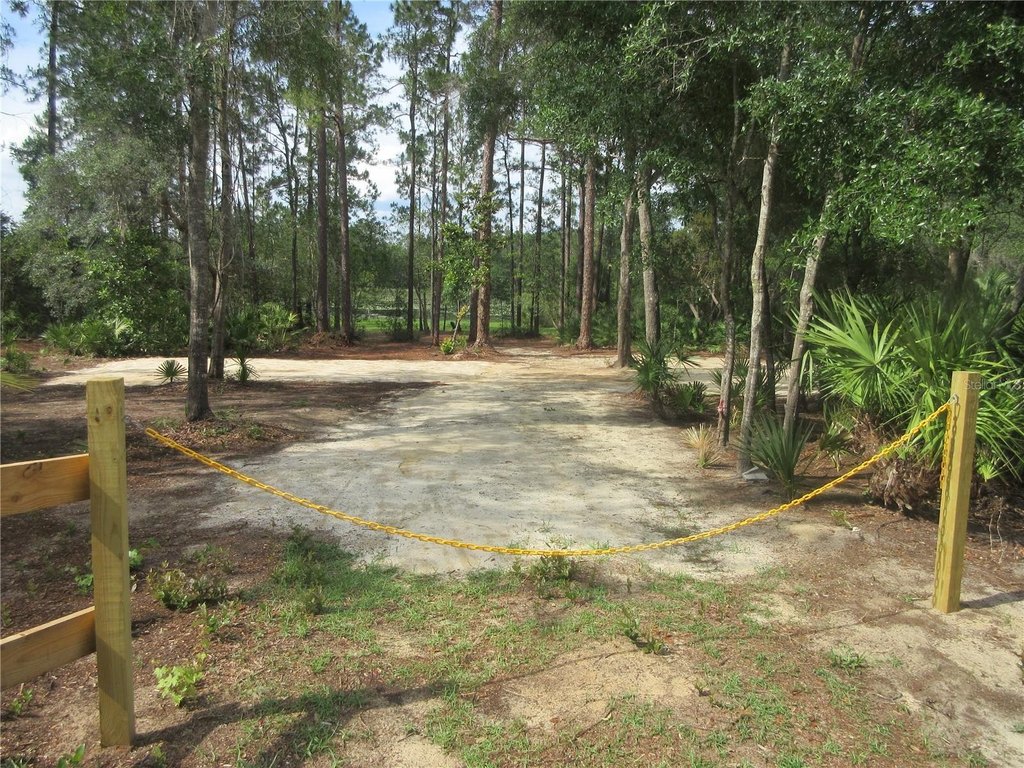 Picture 25