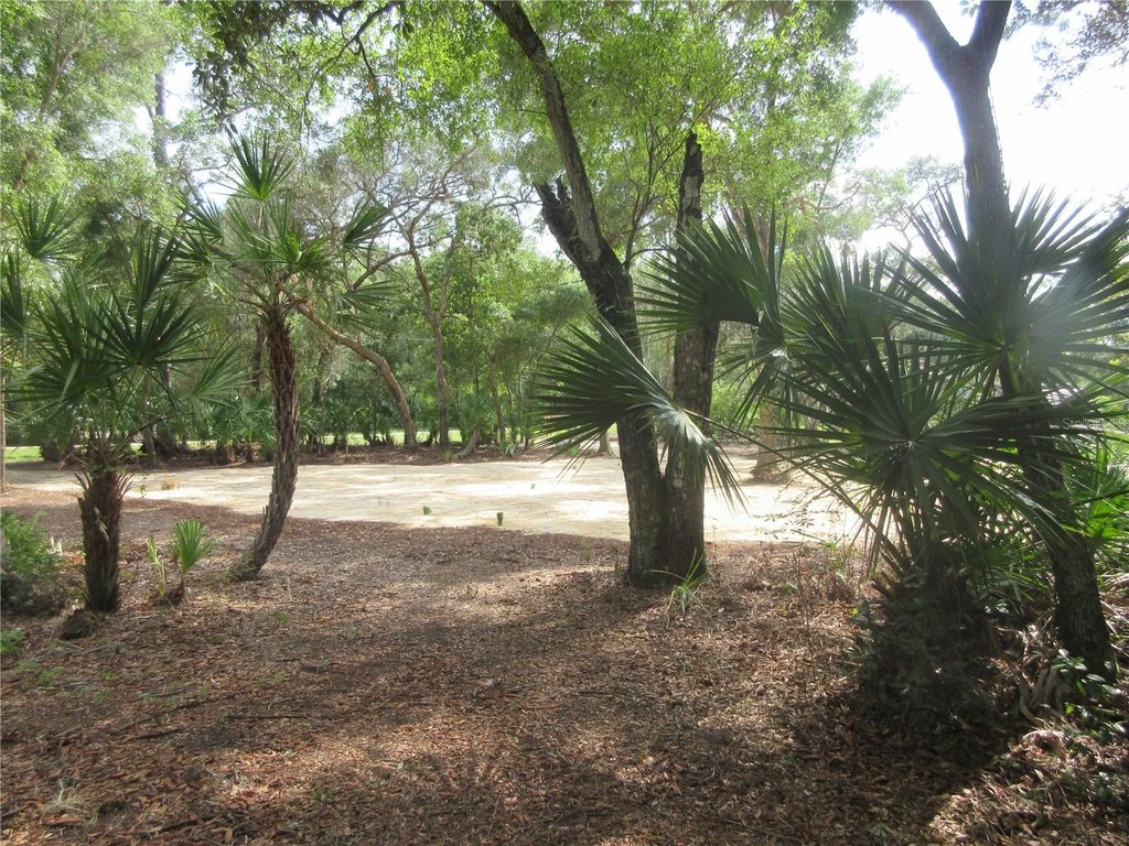 Picture 28